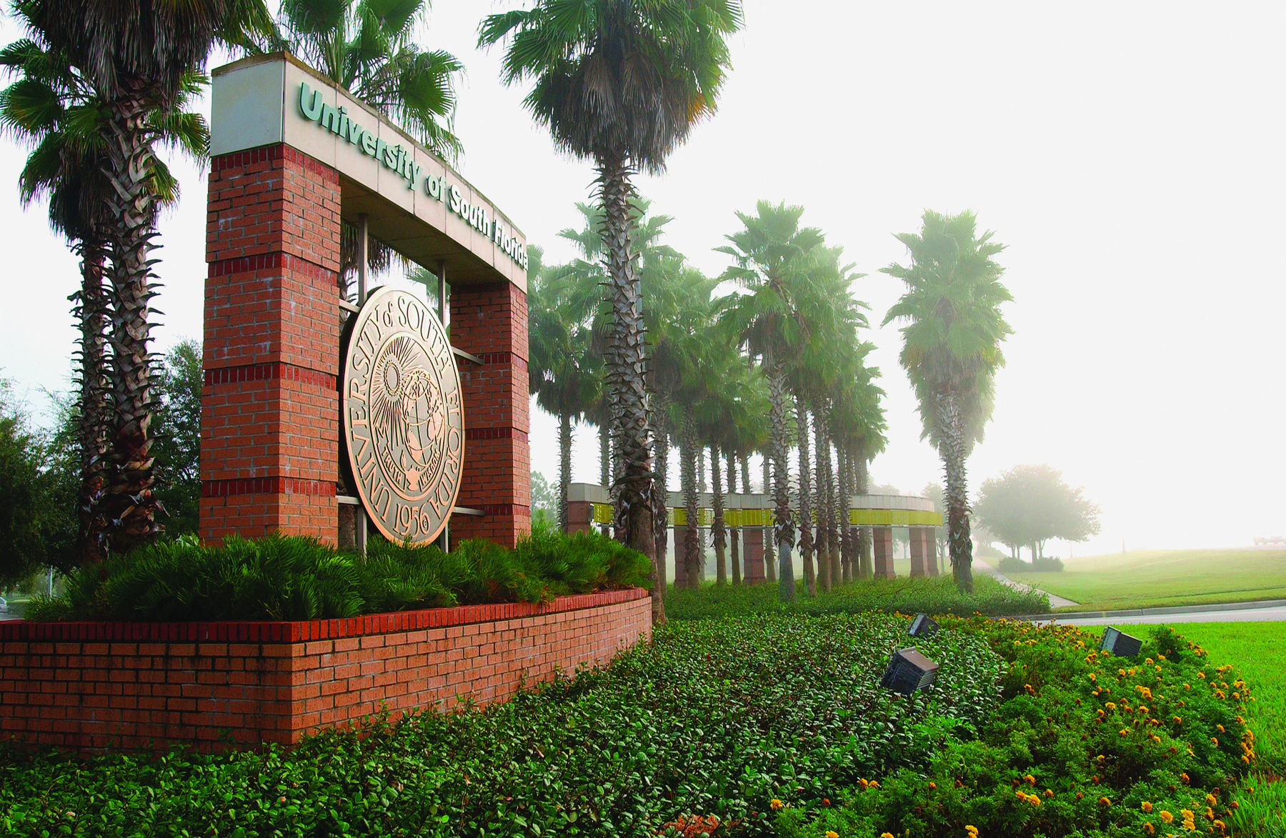USF Tampa campus entrance in morning light